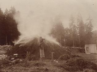 Kohlenmeiler im Wald um 1910
